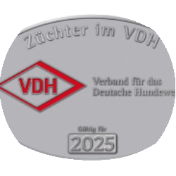 vdh plakette2025 rund